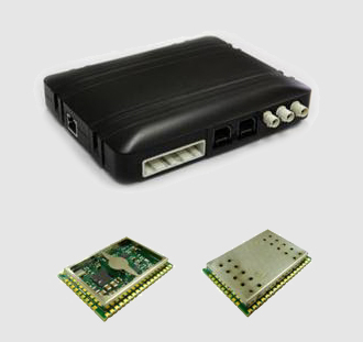 91香蕉网站在线